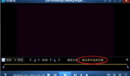 截取一段视频,一窥XX事件全貌